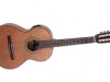 viola caipira