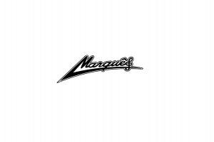 logo (1)