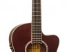 GNF-8R LCS..