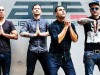 AlienAntFarm