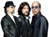 bee_gees_alive__sera_atracao_na_sala_palma_de_ouro_salto